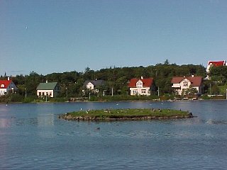 Reykjavik lake